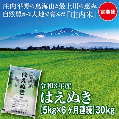 2022年4月発送開始『定期便』山形県の米どころ庄内平野産　はえぬき5kg　全6回