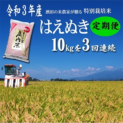 2022年5月発送開始『定期便』「酒田の米農家から直送!」はえぬき10kg　全3回