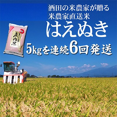 2023年2月発送開始『定期便』「酒田の米農家から直送」はえぬき5kgを6回発送全6回