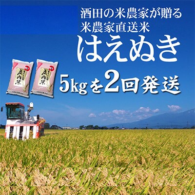 2023年4月発送開始『定期便』「酒田の米農家から直送」はえぬき5kgを2回発送