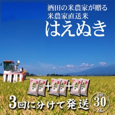 2023年5月発送開始『定期便』「酒田の米農家から直送」はえぬき10kg全3回