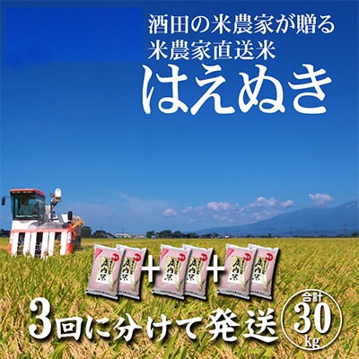 2023年4月発送開始『定期便』「酒田の米農家から直送」はえぬき10kg全3回