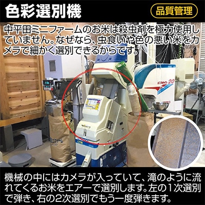 2023年4月発送開始『定期便』「酒田の米農家から直送」はえぬき10kg全3回