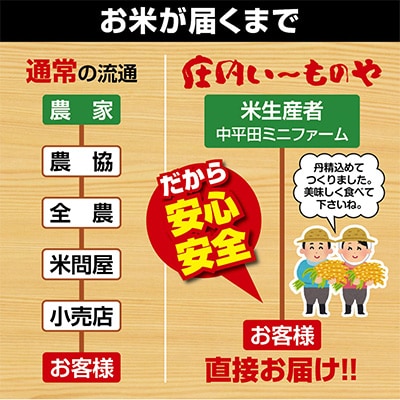 2023年4月発送開始『定期便』「酒田の米農家から直送」はえぬき10kg全3回