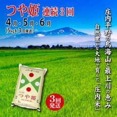 2023年4月発送開始『定期便』庄内米つや姫5kgを3ヶ月連続で発送 全3回