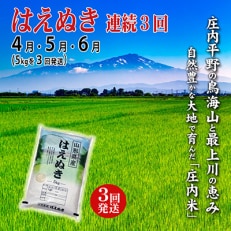 2023年4月発送開始『定期便』庄内米はえぬき5kg 3ヶ月連続で発送 全3回