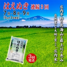 2023年7月発送開始『定期便』庄内米はえぬき5kg 3ヶ月連続で発送 全3回