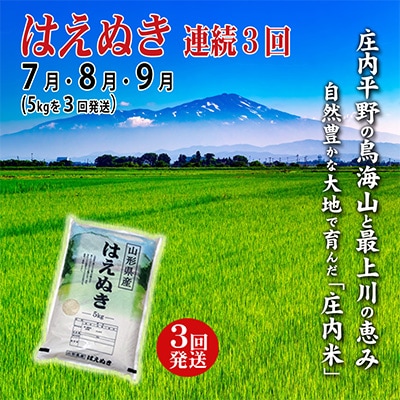 2023年7月発送開始『定期便』庄内米はえぬき5kg 3ヶ月連続で発送　全3回