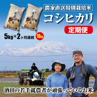 2023年3月発送開始『定期便』混じりっ気ない農家のお米直送!コシヒカリ5kg　定期便全2回