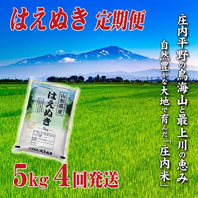2023年6月発送開始『定期便』庄内米はえぬき5kg　4ヶ月連続で発送全4回