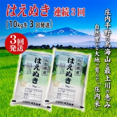 2023年6月発送開始『定期便』庄内米はえぬき10kg 3ヶ月連続で発送 全3回