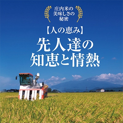 2023年5月発送開始『定期便』庄内米はえぬき10kg　3ヶ月連続で発送 全3回