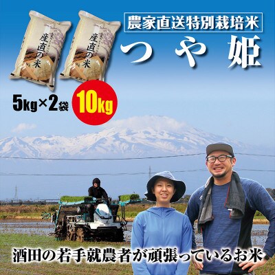 【2023年2月上旬発送】酒田の若手就労者のお米　特栽米つや姫10kg(5kg+5kg)令和4年産