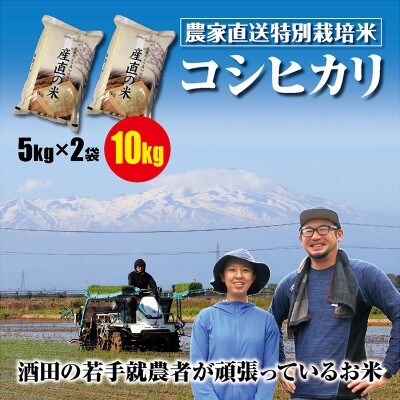 【2023年2月上旬発送】酒田の若手就労者の特栽米コシヒカリ10kg(5kg+5kg)令和4年産