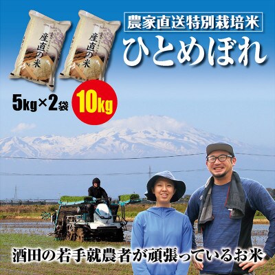 【2023年7月中旬発送】酒田の若手就労者の特栽米ひとめぼれ10kg(5kg+5kg)令和4年産