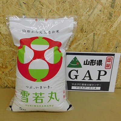 数量限定 令和2年産特aランク雪若丸10kg精米 農家直送 お礼品詳細 ふるさと納税なら さとふる 数量限定 令和2年産特aランク雪若丸10kg精米 農家直送 お礼品詳細 ふるさと納税なら さとふる