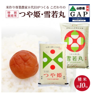”特A”セット つや姫と雪若丸各5kgの精米　令和6年産　農家直送