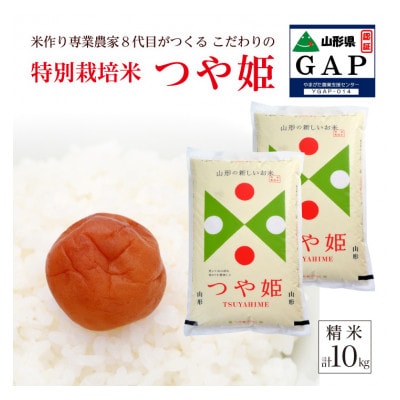 新米【精米】山形県産 農家直送 つや姫 子どもに食べさせたいお