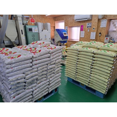 山形県酒田市　つや姫10kg精米　令和6年産 農家直送