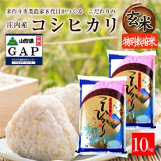 【新米受付】山形県酒田市　コシヒカリ10kg　玄米　令和5年産 農家直送