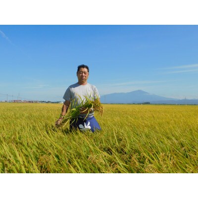 山形県産　つや姫　玄米10kg　令和5年産　農家直送