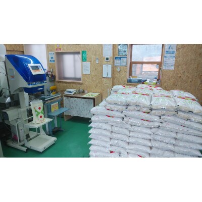 山形県産　つや姫　玄米10kg　令和5年産　農家直送