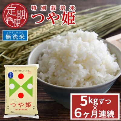【発送月固定定期便】山形県産　つや姫　無洗米　5kg　農家直送　全6回