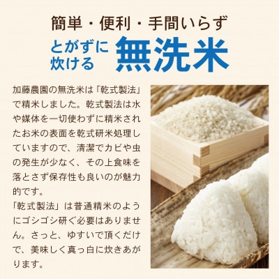 【毎月定期便】「無洗米]特別栽培米 雪若丸　5kg　農家直送全3回