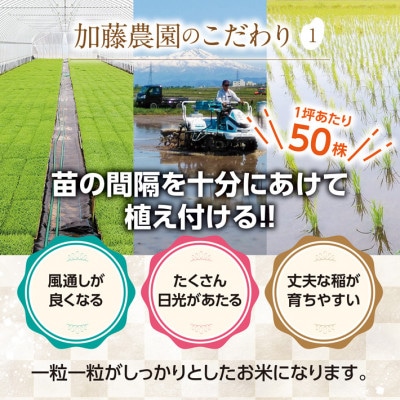 【毎月定期便】「無洗米]特別栽培米 雪若丸　5kg　農家直送全3回