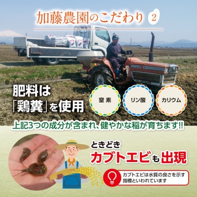 【毎月定期便】「無洗米]特別栽培米 雪若丸　5kg　農家直送全3回