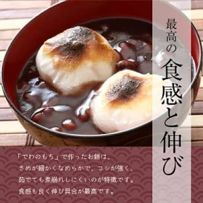 特別栽培米で作った丸もち12ヶ入×5パック　合計約2kg