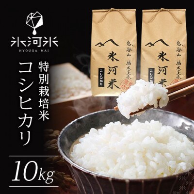 氷河米　コシヒカリ　白米5kg×2袋　計10kg　山形県庄内産　農家直送　