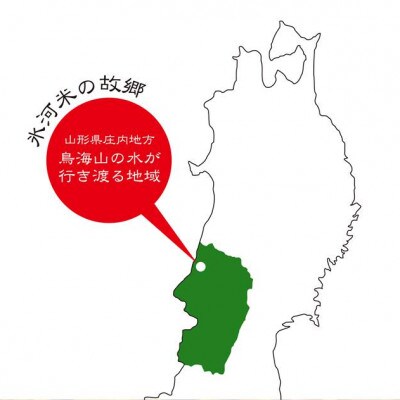 氷河米　コシヒカリ　白米5kg×2袋　計10kg　山形県庄内産　農家直送　