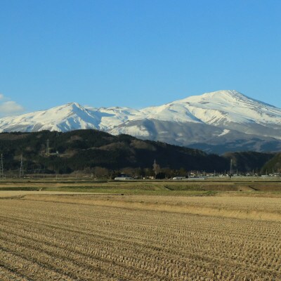 氷河米　コシヒカリ　白米5kg×2袋　計10kg　山形県庄内産　農家直送　