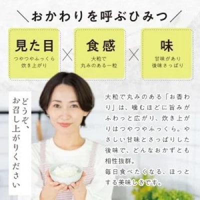 無洗米「いいあん米」お香わり(山形95号)10kg(5kg×2袋)