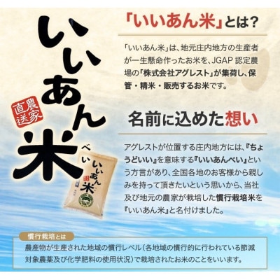 【無洗米】はえぬき 5kg(5kg×1袋) 農家直送『いいあん米』