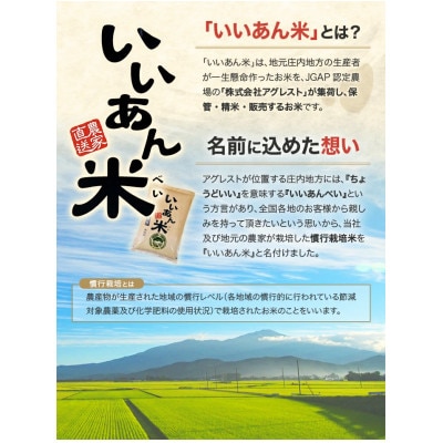 【毎月定期便】「いいあん米」はえぬき無洗米5kg全12回