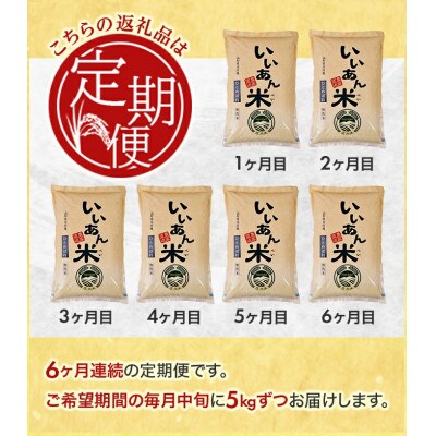 【毎月定期便】「いいあん米」ひとめぼれ無洗米5kg全6回
