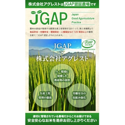 【毎月定期便】「いいあん米」はえぬき無洗米5kg全3回