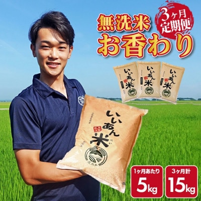 【毎月定期便】無洗米 お香わり(山形95号)5kg×3ヶ月連続 計15kg 山形県庄内産全3回