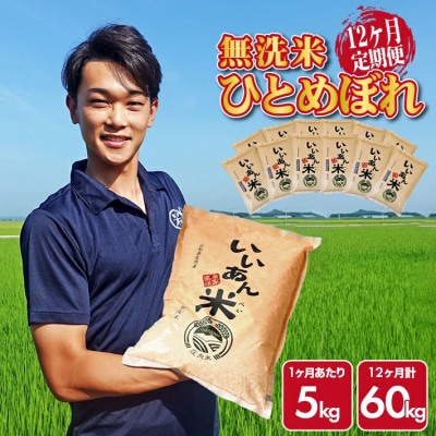 【毎月定期便】ひとめぼれ 無洗米「いいあん米」5kg 山形県庄内産全12回