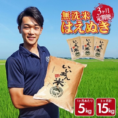 【毎月定期便】はえぬき無洗米『いいあん米』5kg×3ヶ月連続 計15kg全3回