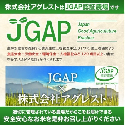 【毎月定期便】はえぬき無洗米『いいあん米』5kg×6ヶ月連続 計30kg全6回