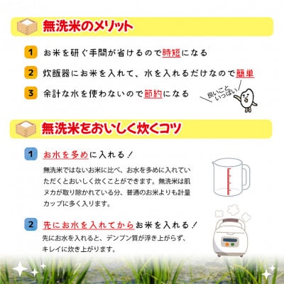 【2ヵ月毎定期便】はえぬき無洗米『いいあん米』5kg全3回