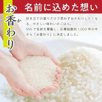 【毎月定期便】無洗米 お香わり(山形95号)5kg×3ヶ月連続 計15kg 山形県庄内産全3回
