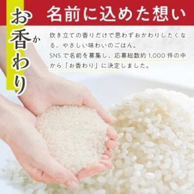 【毎月定期便】無洗米 お香わり(山形95号)5kg×6ヶ月連続 計30kg 山形県庄内産全6回