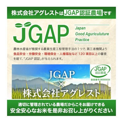 【毎月定期便】無洗米 お香わり(山形95号)5kg×6ヶ月連続 計30kg 山形県庄内産全6回