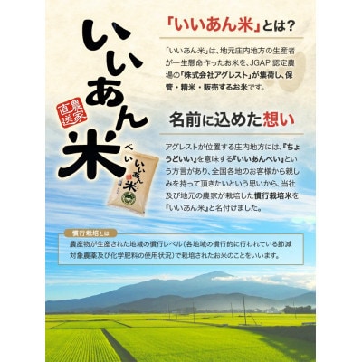 【2ヵ月毎定期便】無洗米 ひとめぼれ「いいあん米」5kg 山形県庄内産全6回