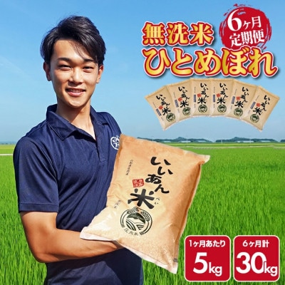 【毎月定期便】ひとめぼれ 無洗米「いいあん米」5kg 山形県庄内産全6回