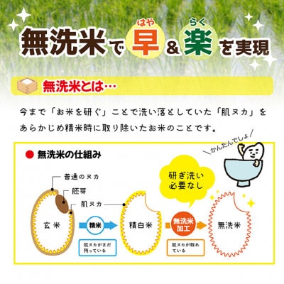 【毎月定期便】はえぬき無洗米『いいあん米』5kg×3ヶ月連続 計15kg全3回
